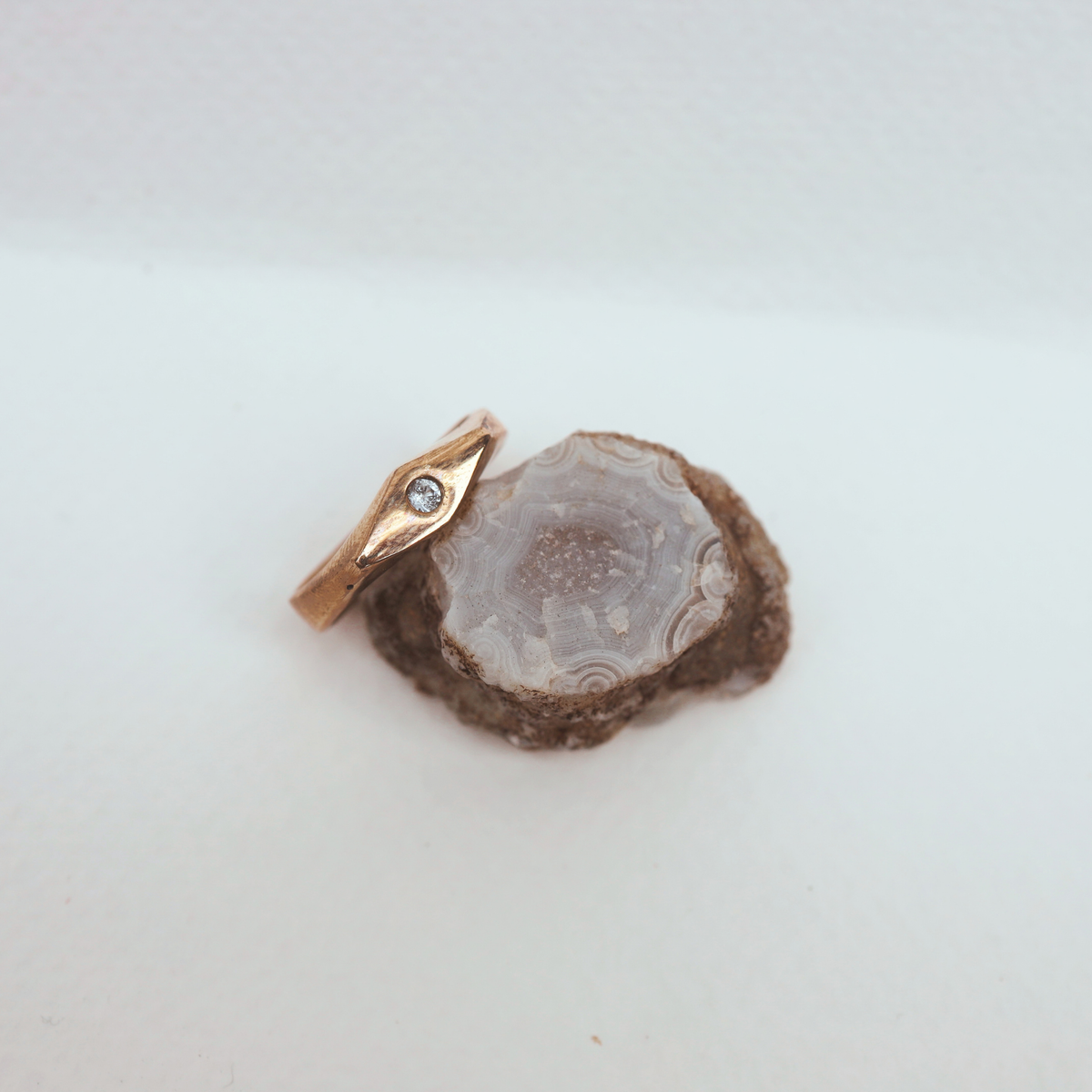 Seed Ring Bronze
